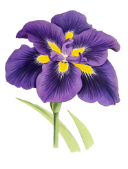 Lily image par susann mielke de pixabay