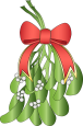 Mistletoe image par nina garman de pixabay