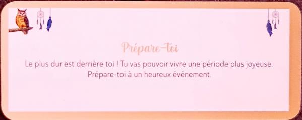 Prepare toi le petit oracle messager frederique shine