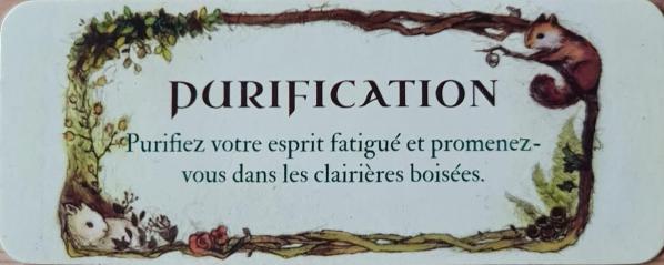 Purification le petit oracle de la foret de jessica le 1