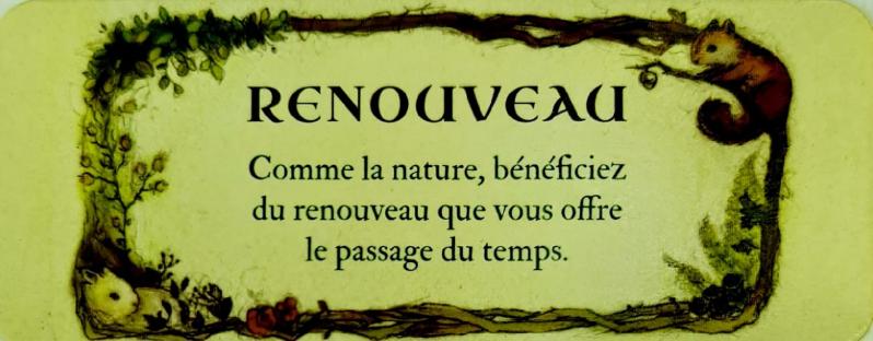 Renouveau le petit oracle de la foret de jessica le