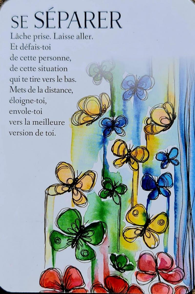 Se separer l oracle des messages de ton ame de charlotte daynes et les illustrations de celia melesville 1