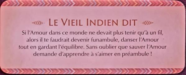 Si l amour dans le petit oracle des sagesses amerindiennes de dylan collin 1