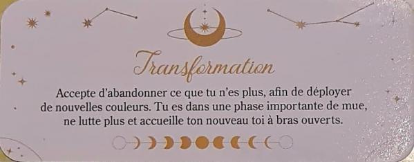 Transformation le petit oracle magie de la lune d aurore widmer