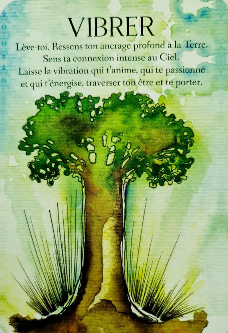 Vibrer l oracle des messages de ton ame de charlotte daynes et les illustrations de celia melesville 2