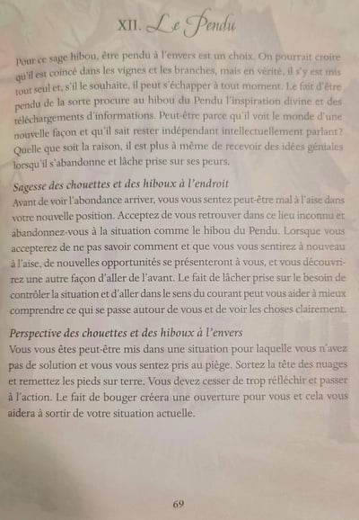 Xii le pendu le tarot des chouettes et des hiboux by pamela chen et elisabeth alba 1