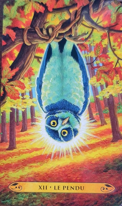 Xii le pendu le tarot des chouettes et des hiboux by pamela chen et elisabeth alba